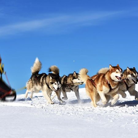 Village Tipi ラ・フェクラ エクステリア 写真