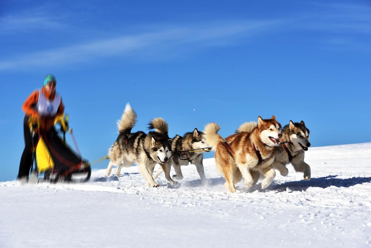 Village Tipi ラ・フェクラ エクステリア 写真