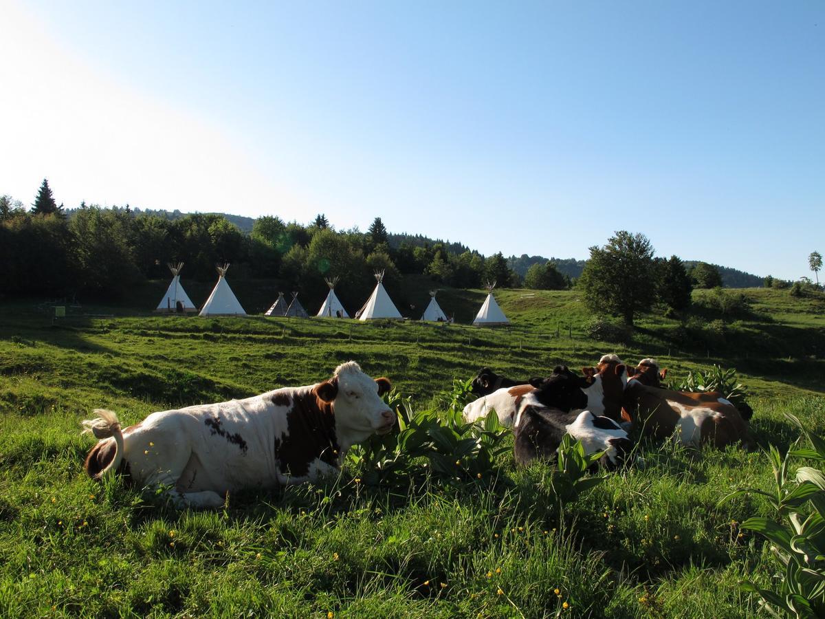Village Tipi ラ・フェクラ エクステリア 写真